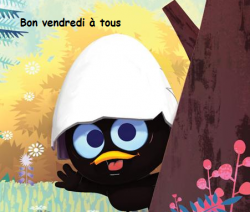 Coucou