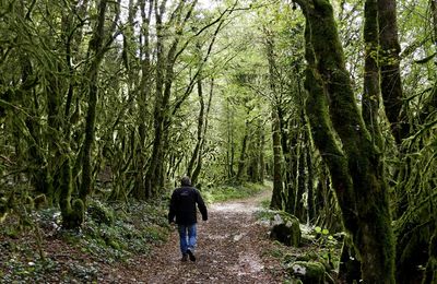 Le 12 octobre 2020 : Chemin de la pierre grise - 1
