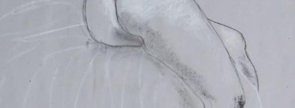 Mercredi - A demi couchée