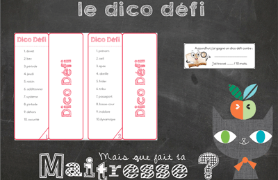 vocabulaire : le dico défi