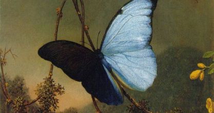 Le langage de l’Espérance fait ressusciter la Vie. - Bruno