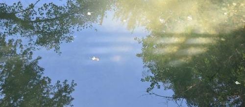 ... juste un reflet...
