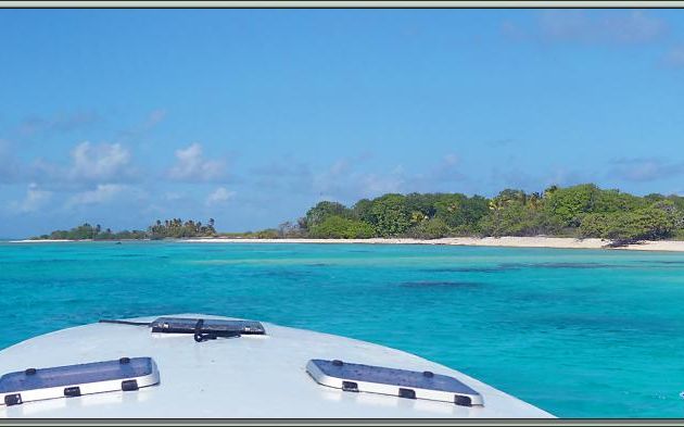 L'île aux oiseaux - Vers la passe sud Tumakohua (Tetamanu) - Atoll de Fakarava - Tuamotu - Polynésie française