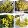 Cartonnettes Mimosa 2017 !