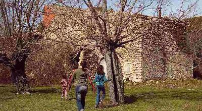 La ruine