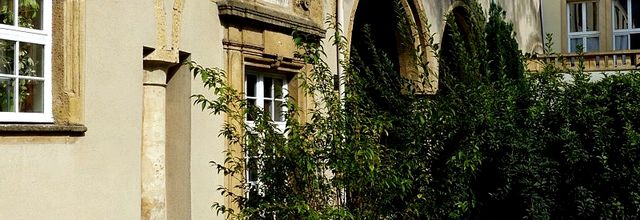 Metz / Le jardin de l'ancien Hôpital Saint-Nicolas...