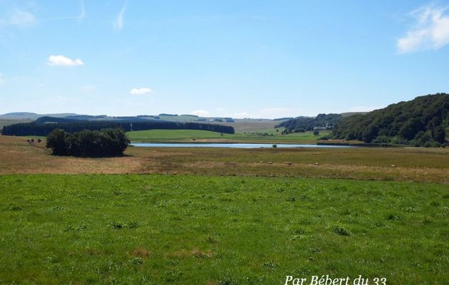L'Aubrac - la rando nature du Déroc (2)