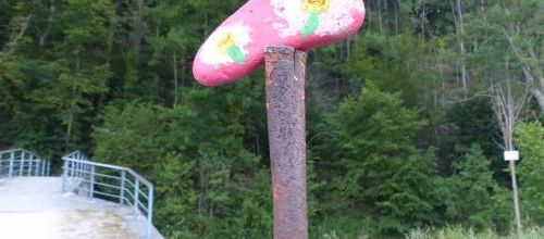 Au parc un petit nouveau et la famille Bernache est de retour