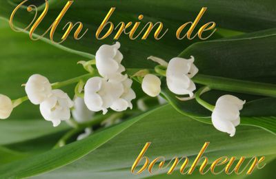 Bonne fête du premier mai