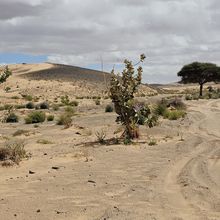 06 Mars Sortie 4X4 avec Mustapha (2)