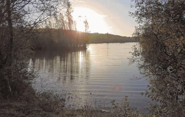 ma photo gif du jour 