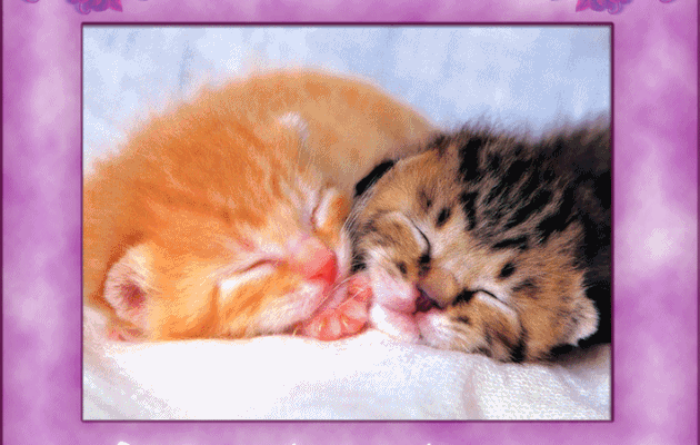 Je déménage en décembre sur Lyon..........