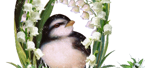 LE MUGUET...?