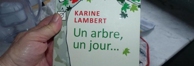 Toute la pluie...