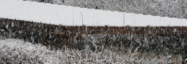 UN TEMPS DE SAISON JANVIER 23
