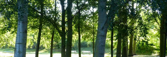 Le parc en fin d'été ... 