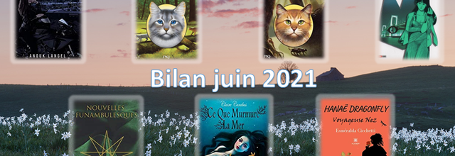 Bilan juin 2021