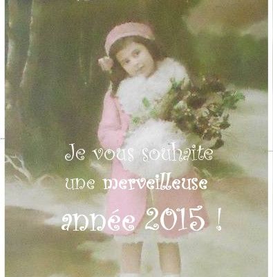 Bonne année 2015 !