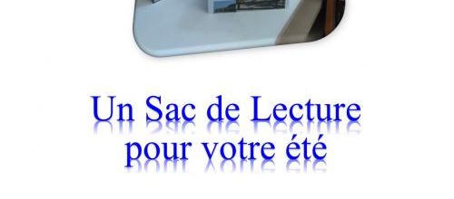Les sacs de lecture mystères sont là...