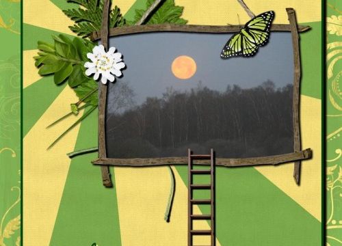 Qui a vu la Lune Rousse ??