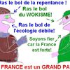 Les français déclareront-ils la guerre au wokisme?