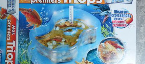 Pour les scientifiques en herbe