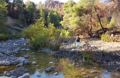 LIMNI, la rivière sauvage !