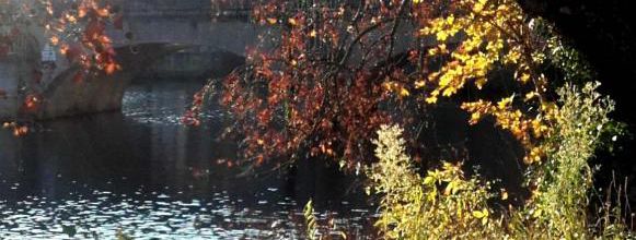 Paysage de decembre