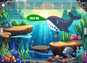 Big Rescue the whale soluce