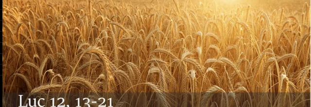 Homélie 18ÈME DIMANCHE DU TEMPS ORDINAIRE - 4 août 2019