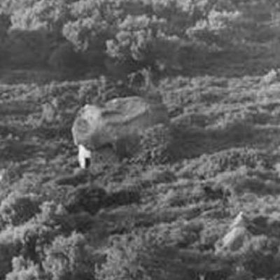 L'Oriu di u Monte Tondu.