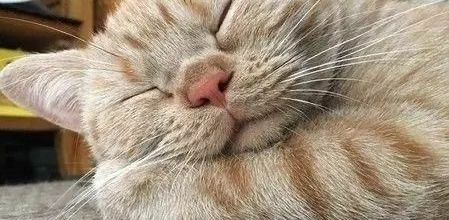 Prendre du temps pour se reposer