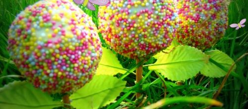Cake pops