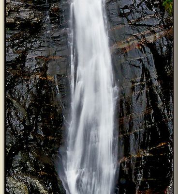 Paysages des Pyrénées (Année 2009)