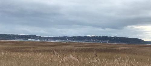 l'estuaire