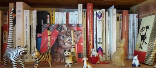 Chats de bibliothèque (2)