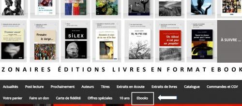 Ebooks chez Zonaires éditions