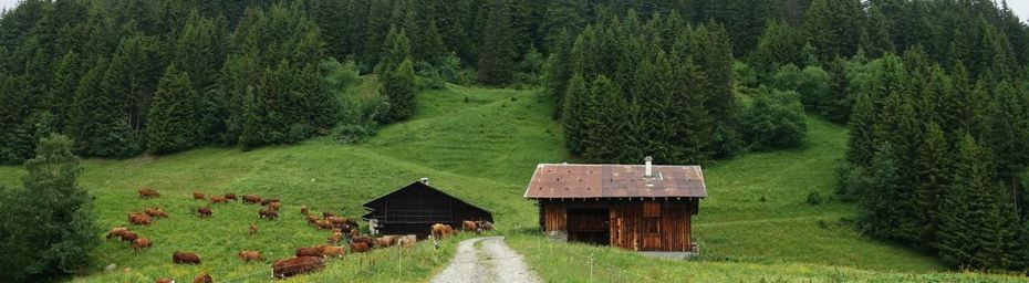 Quatre lacs dans le Beaufortain 