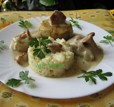 Blanquette de veau, girolles, rizotto et charlotte d'endive.