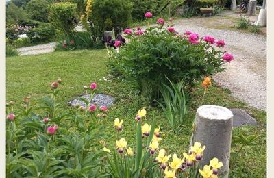 Mai 2025 Mon jardin
