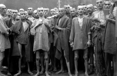 LES CAMPS DE CONCENTRATION, 1933-1939.