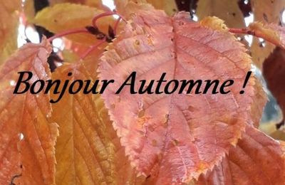 C'est l'automne !