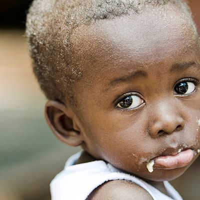 L’Afrique noire pour les nuls