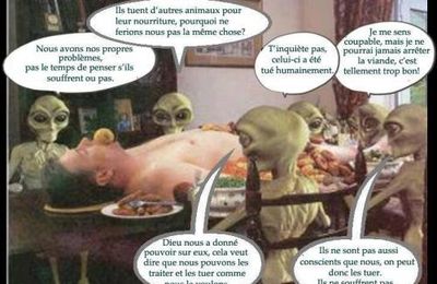 Ce que nous sommes devenus...