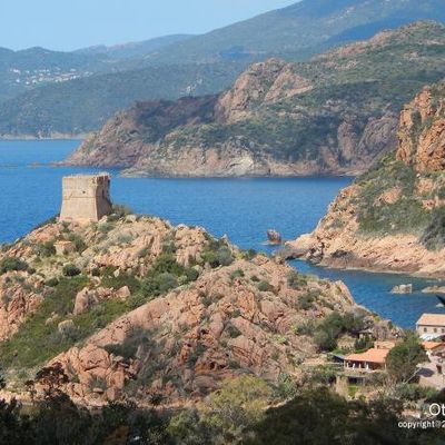Les 3 pieds de canon.