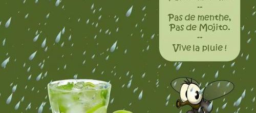 Pas de pluie, pas de plante...