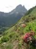 Pic d'Aule 24 06 2005