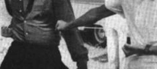 photo elvis -taro seino 