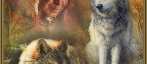  Les loups...