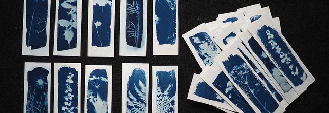 Marque-page en cyanotype 